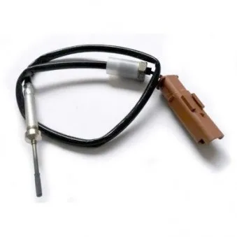 Capteur, température des gaz HOFFER 7452169
