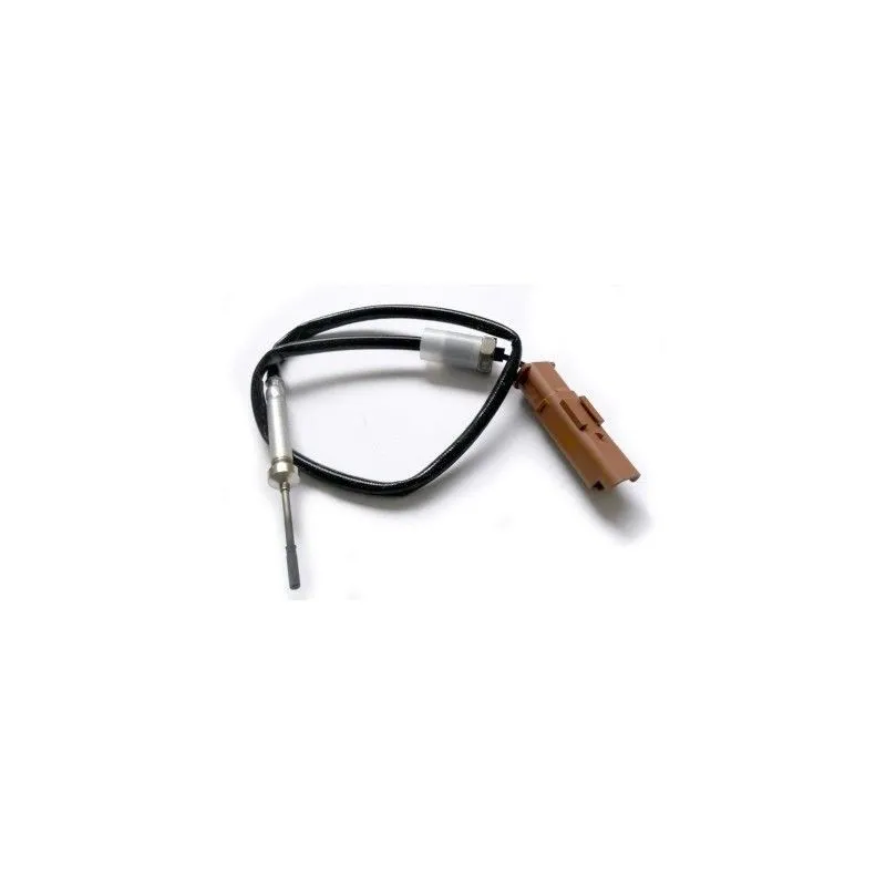 Capteur, température des gaz HOFFER 7452169