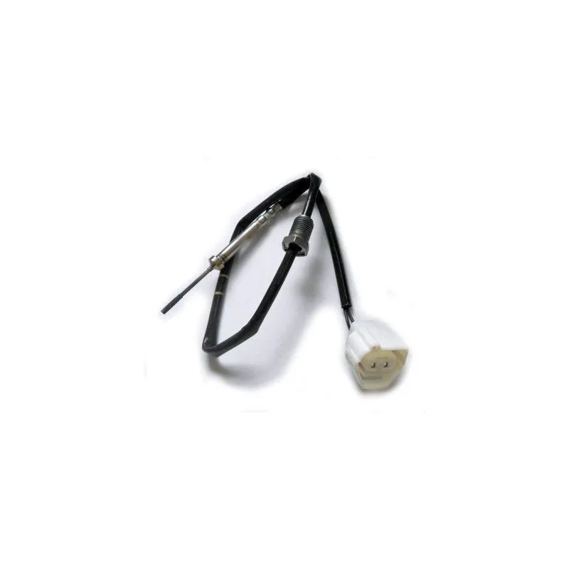 Capteur, température des gaz HOFFER 7452171