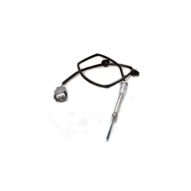 Capteur, température des gaz HOFFER 7452178