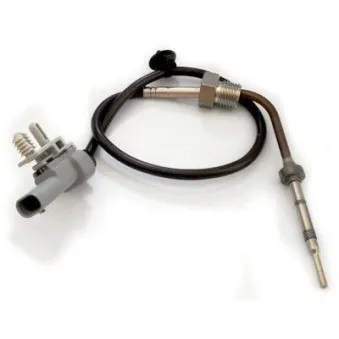 Capteur, température des gaz HOFFER 7452179