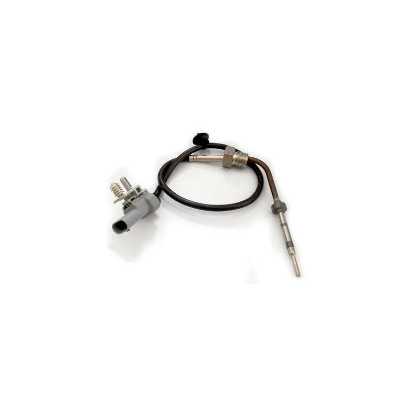 Capteur, température des gaz HOFFER 7452179