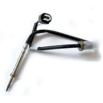 Capteur, température des gaz HOFFER