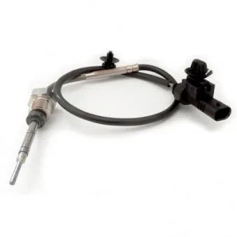 Capteur, température des gaz HOFFER 7452187