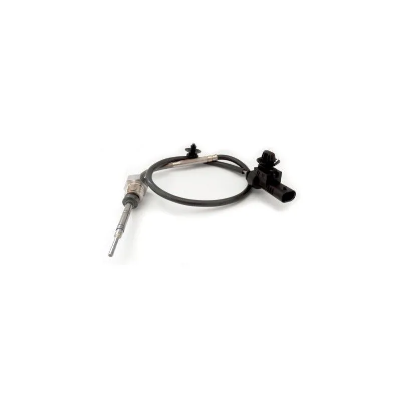 Capteur, température des gaz HOFFER 7452187