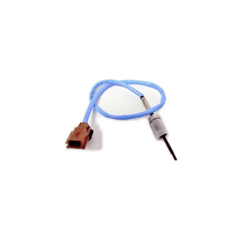 Capteur, température des gaz HOFFER 7452190