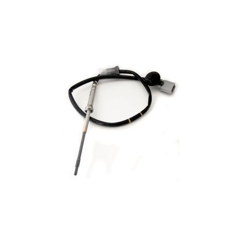 Capteur, température des gaz HOFFER 7452193