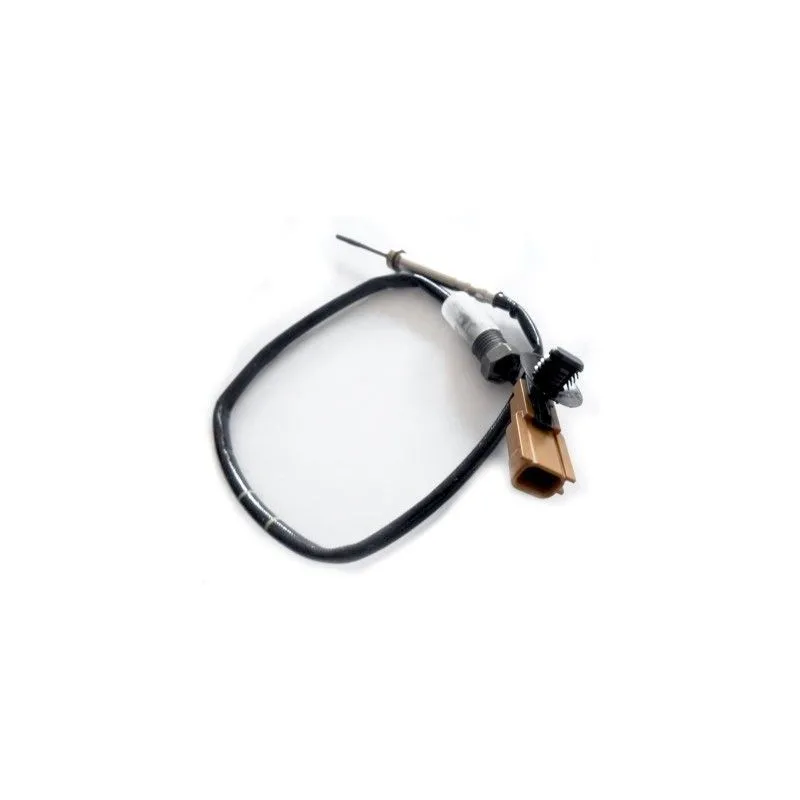 Capteur, température des gaz HOFFER 7452194