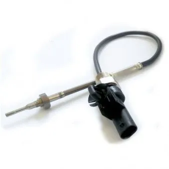 Capteur, température des gaz HOFFER 7452195