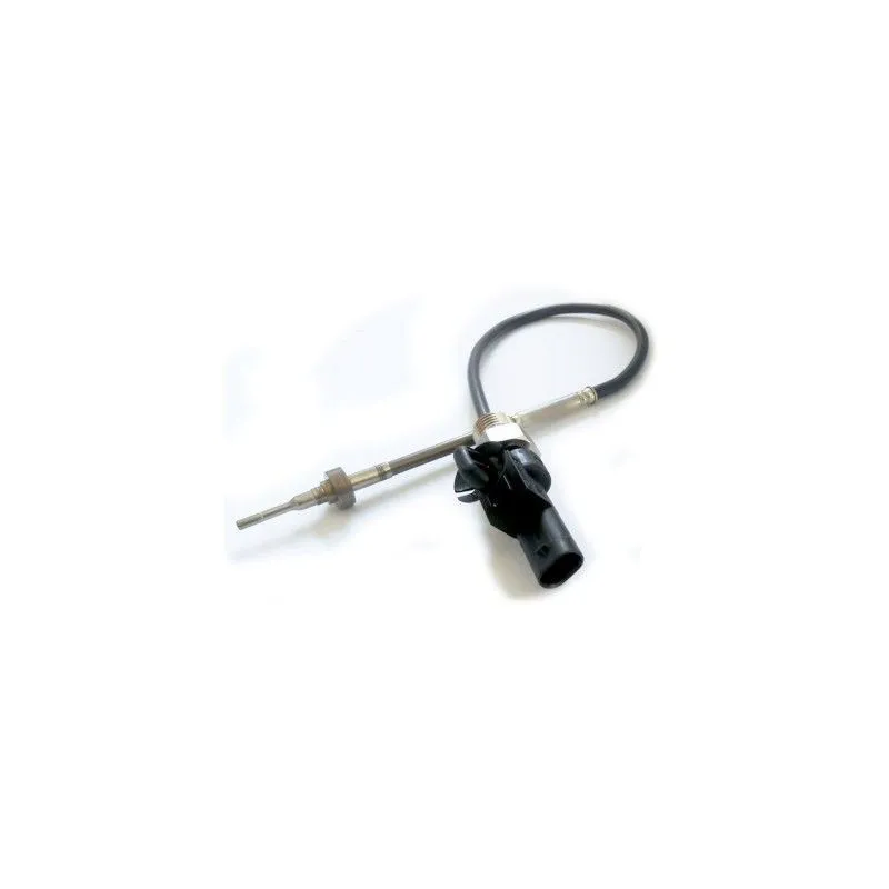 Capteur, température des gaz HOFFER 7452195