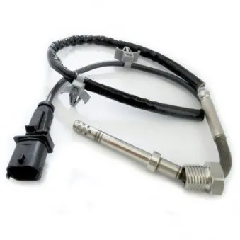 Capteur, température des gaz HOFFER 7452196