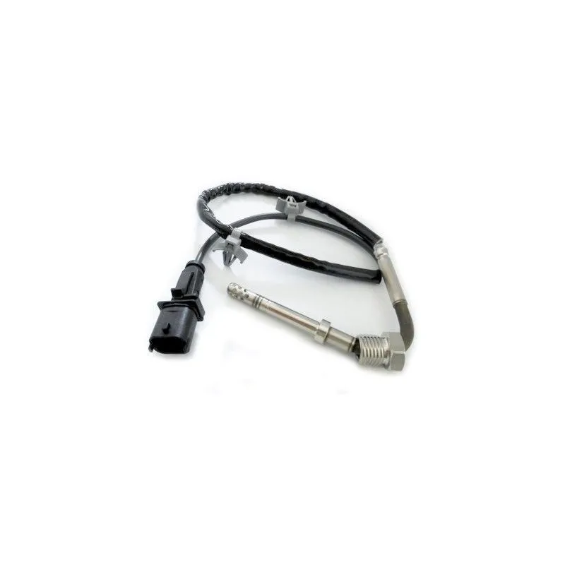 Capteur, température des gaz HOFFER 7452196