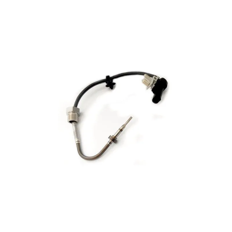 Capteur, température des gaz HOFFER 7452200