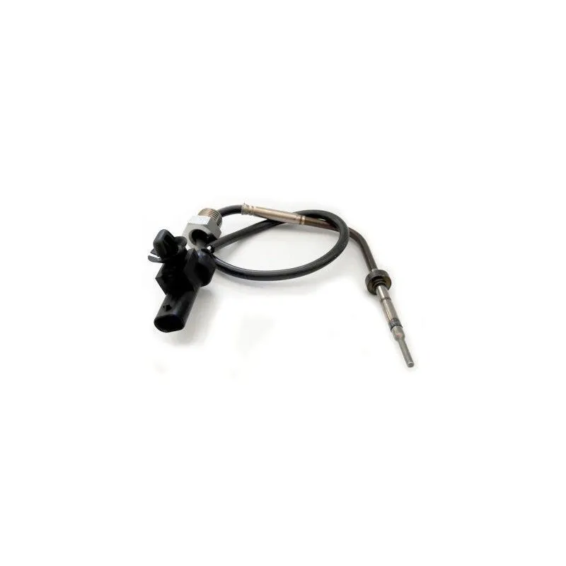 Capteur, température des gaz HOFFER 7452203