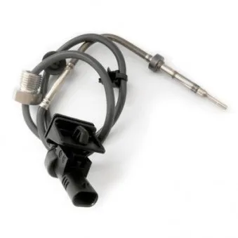 Capteur, température des gaz HOFFER 7452204