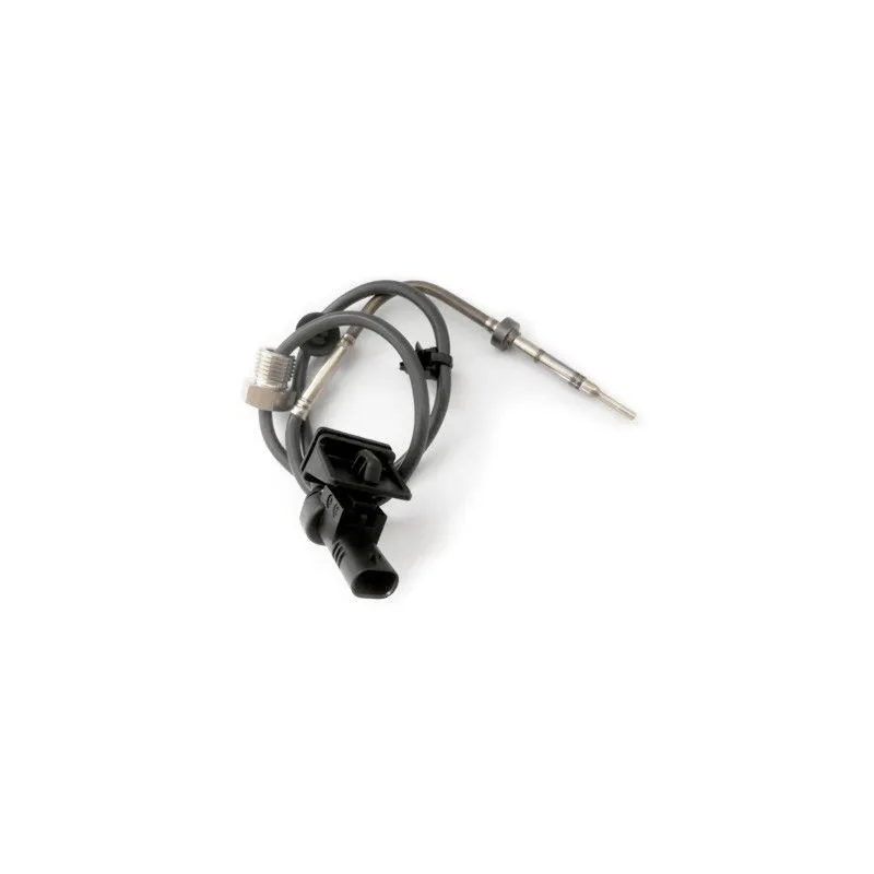 Capteur, température des gaz HOFFER 7452204