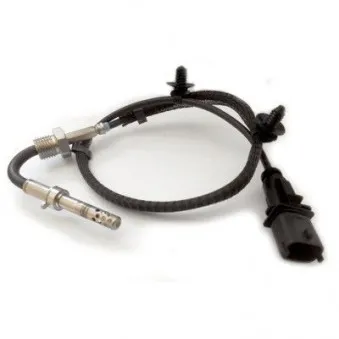 Capteur, température des gaz HOFFER 7452205