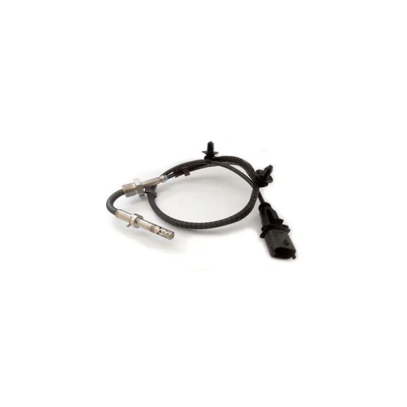 Capteur, température des gaz HOFFER 7452205