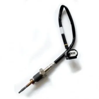 Capteur, température des gaz HOFFER 7452209