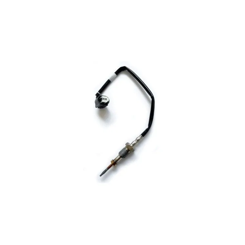 Capteur, température des gaz HOFFER 7452210