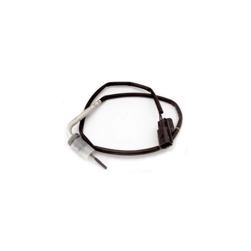 Capteur, température des gaz HOFFER 7452211