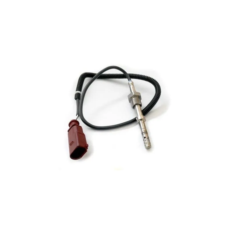 Capteur, température des gaz HOFFER 7452223