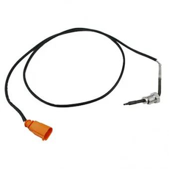 Capteur, température des gaz HOFFER