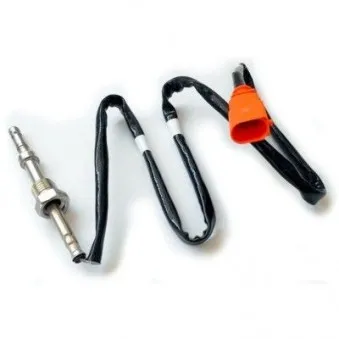 Capteur, température des gaz HOFFER