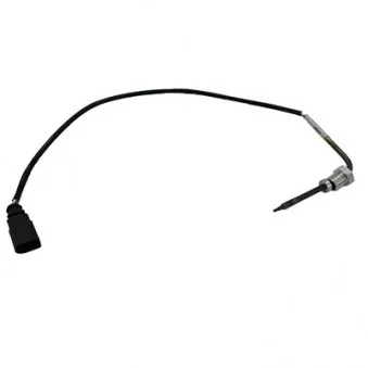 Capteur, température des gaz HOFFER