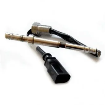 Capteur, température des gaz HOFFER