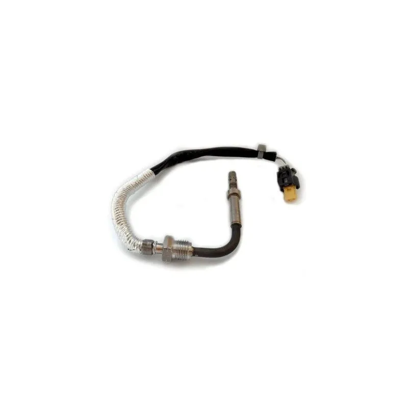 Capteur, température des gaz HOFFER 7452264