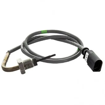 Capteur, température des gaz HOFFER