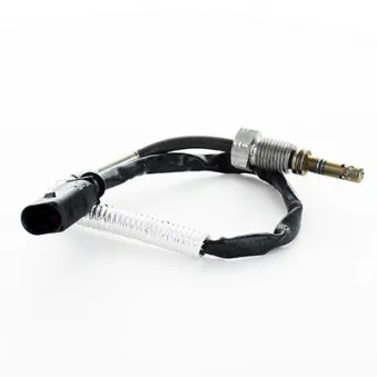 Capteur, température des gaz HOFFER 7452272