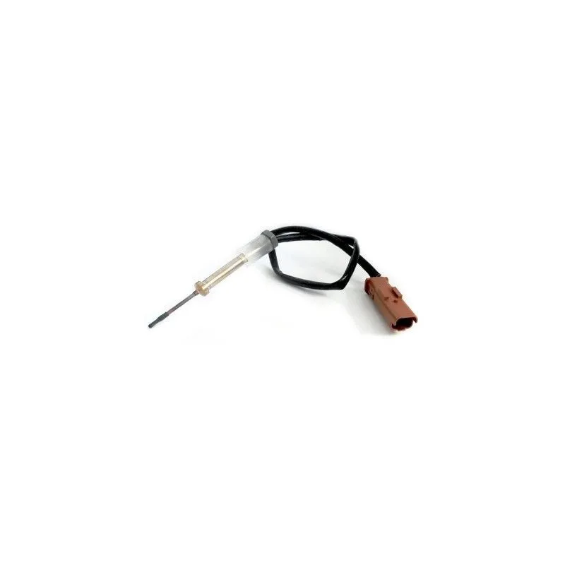 Capteur, température des gaz HOFFER 7452284
