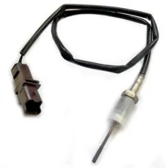 Capteur, température des gaz HOFFER 7452286