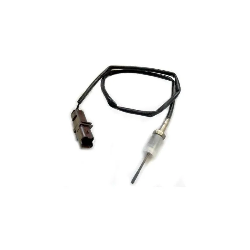 Capteur, température des gaz HOFFER 7452286