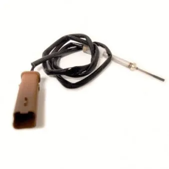 Capteur, température des gaz HOFFER 7452287