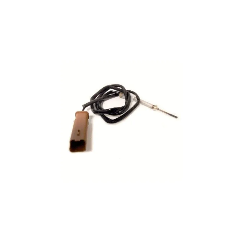 Capteur, température des gaz HOFFER 7452287