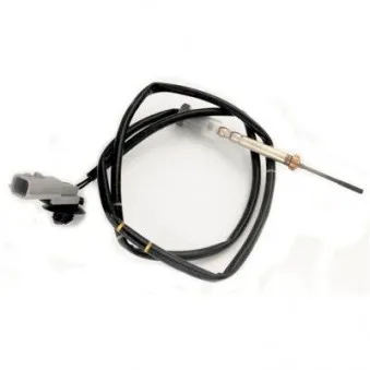 Capteur, température des gaz HOFFER 7452288