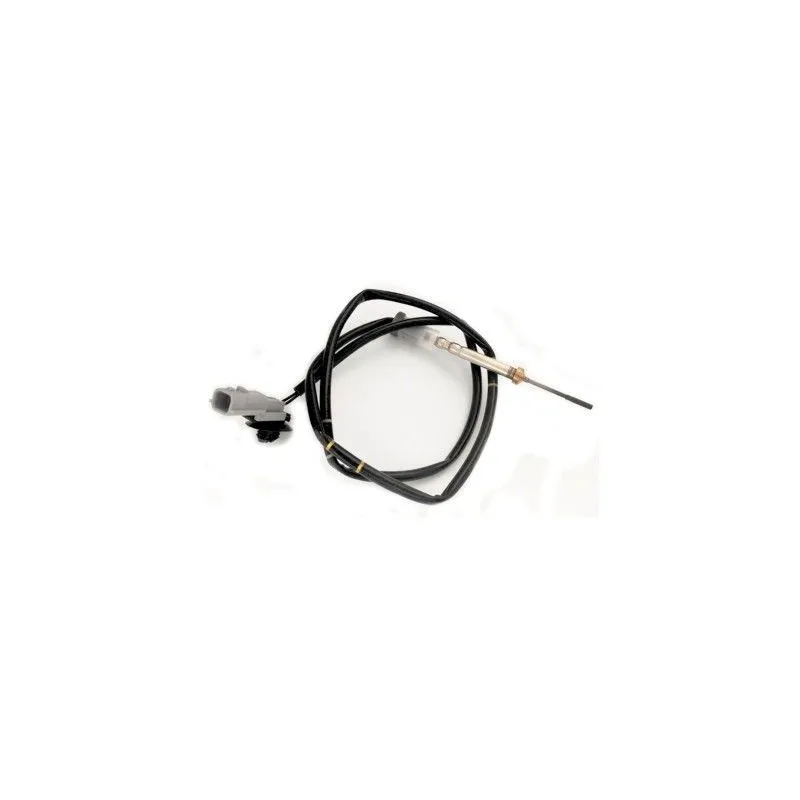 Capteur, température des gaz HOFFER 7452288