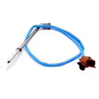 Capteur, température des gaz HOFFER 7452291