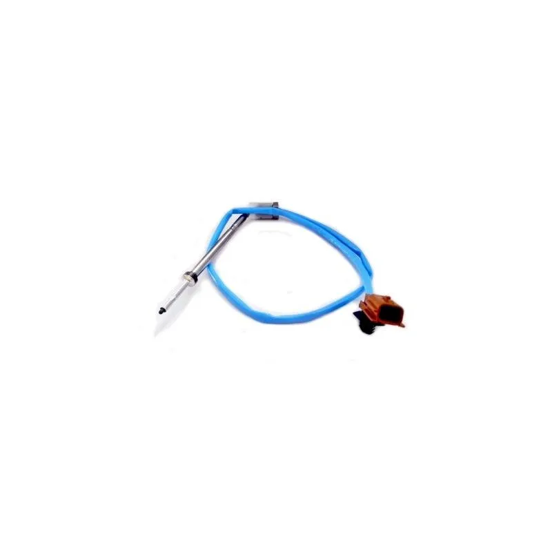 Capteur, température des gaz HOFFER 7452291