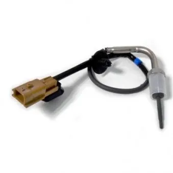 Capteur, température des gaz HOFFER 7452294