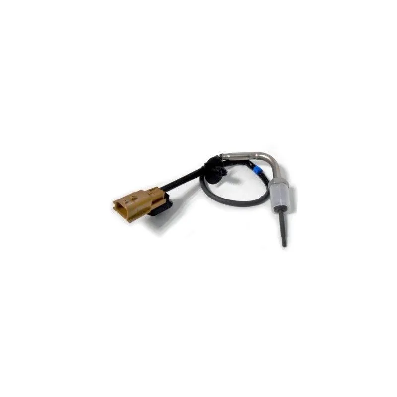 Capteur, température des gaz HOFFER 7452294