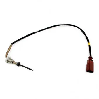 Capteur, température des gaz HOFFER 7452296