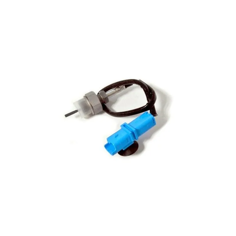 Capteur, température des gaz HOFFER 7452303