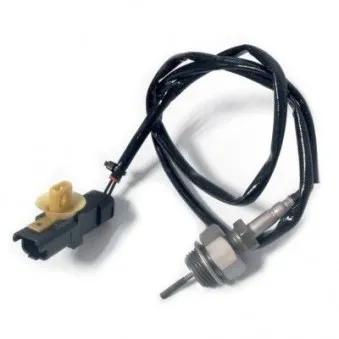 Capteur, température des gaz HOFFER 7452306