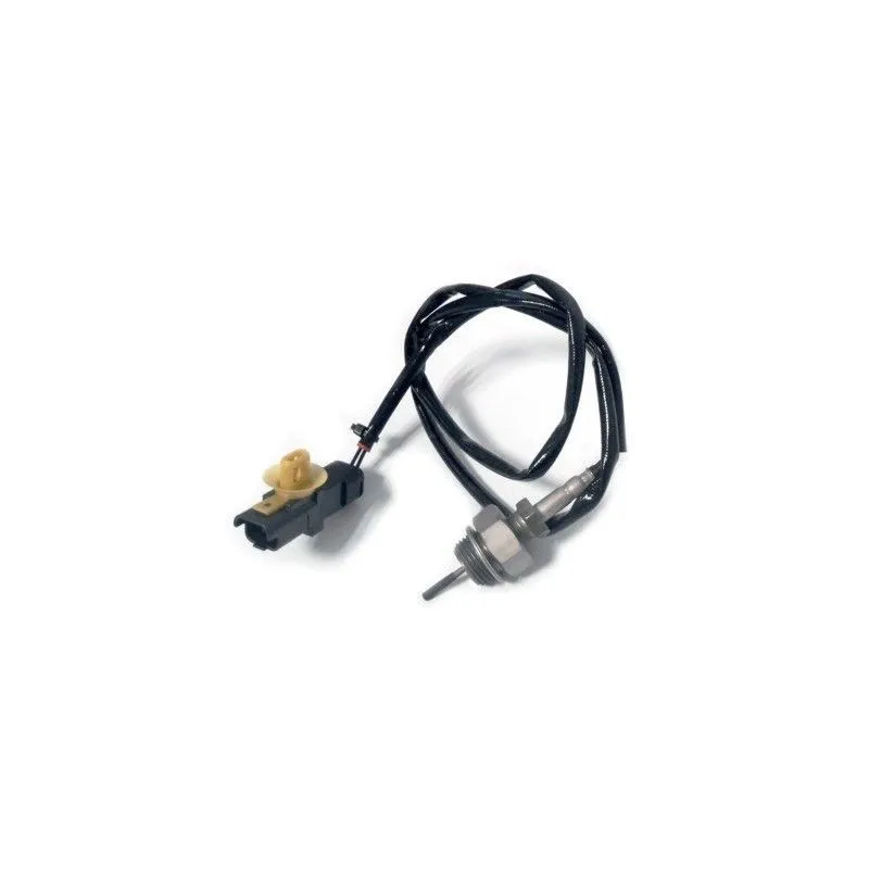 Capteur, température des gaz HOFFER 7452306