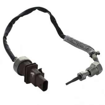 Capteur, température des gaz HOFFER 7452308