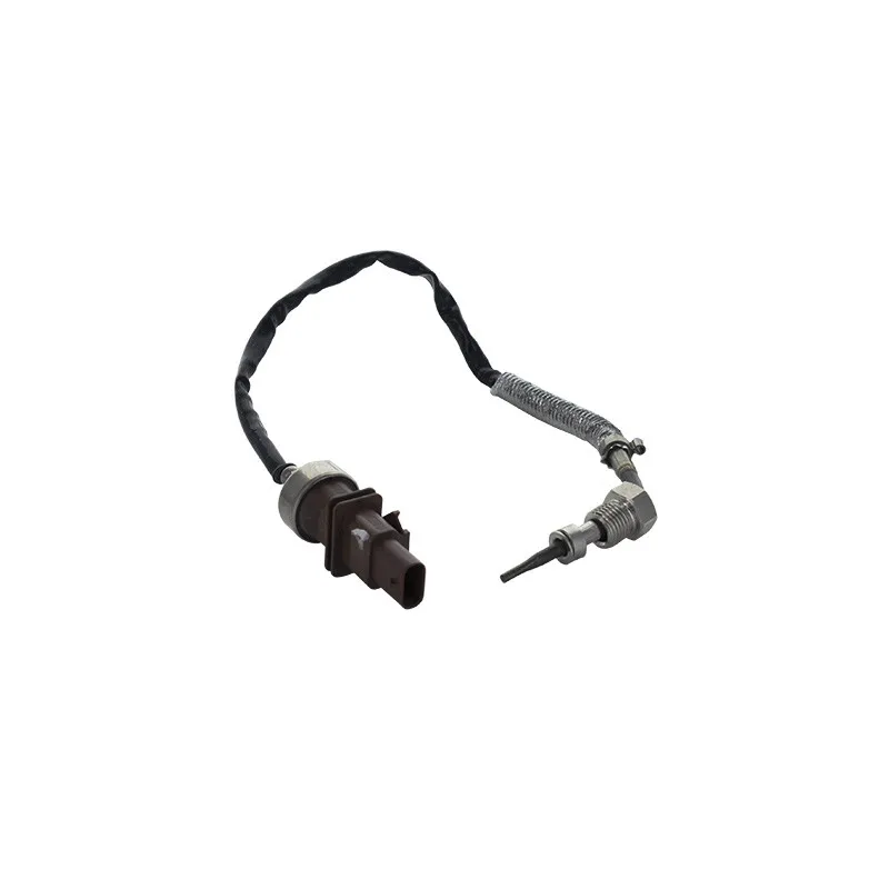 Capteur, température des gaz HOFFER 7452308